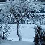 Lejlighed Somski *