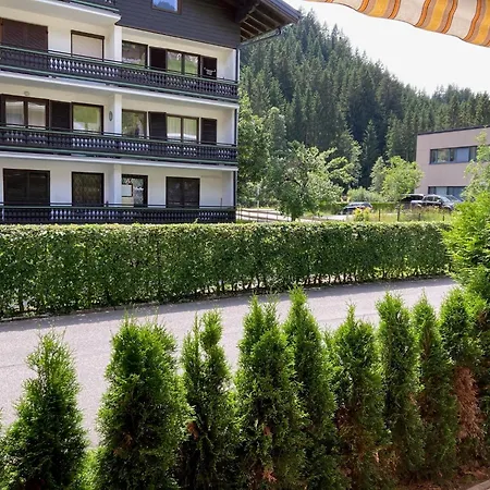 Apartament Somski *