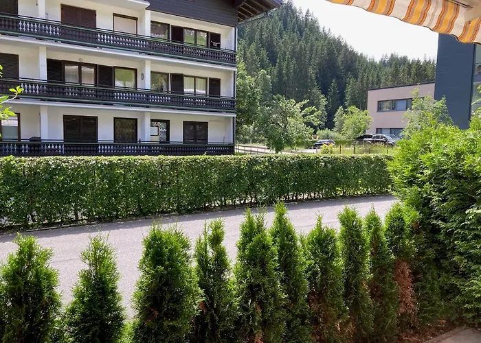 Apartament Somski *